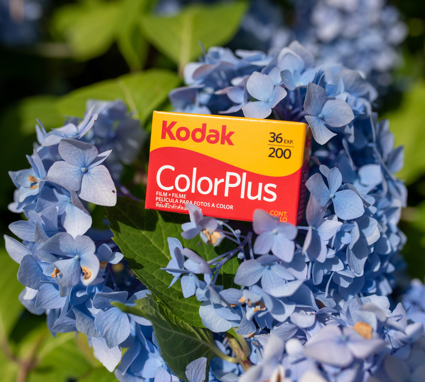 Kodak - ColorPlus 200 - 35mm - (36 exp) - 1 Roll