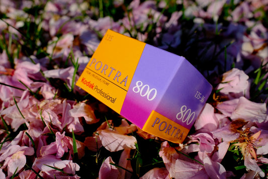 Kodak - Portra 800 - 35mm - (36 exp)