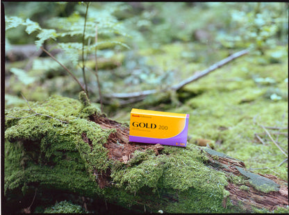 Kodak Gold 200 - 120 - (1 Roll)